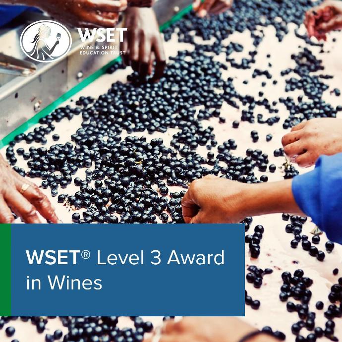 WSET Level 3 Certification In Wines Course