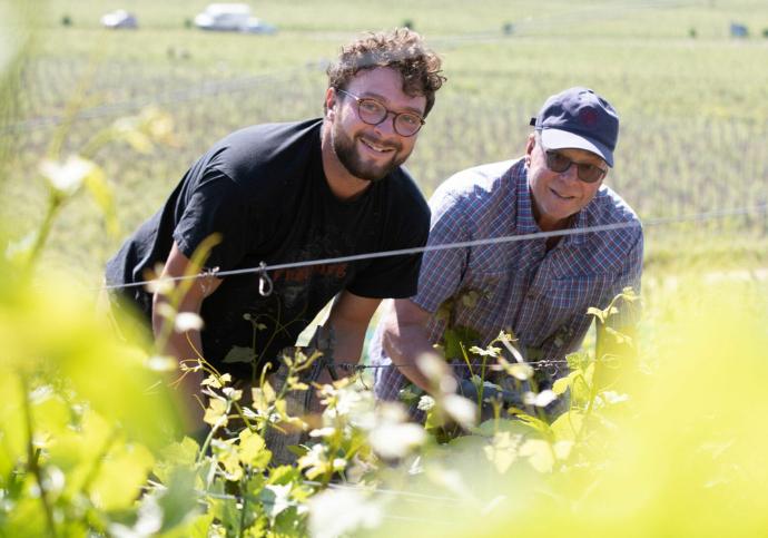 DOMAINE PIERRE AMIOT  PERE & FILS