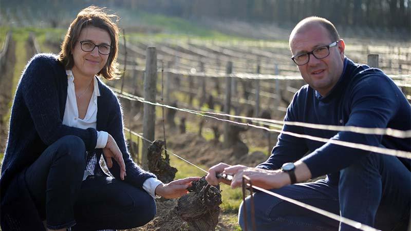 DOMAINE SERGE LALOUE SANCERRE