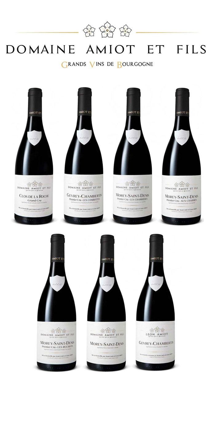 Domaine Amiot Red Burgundy Walkaround Tasting