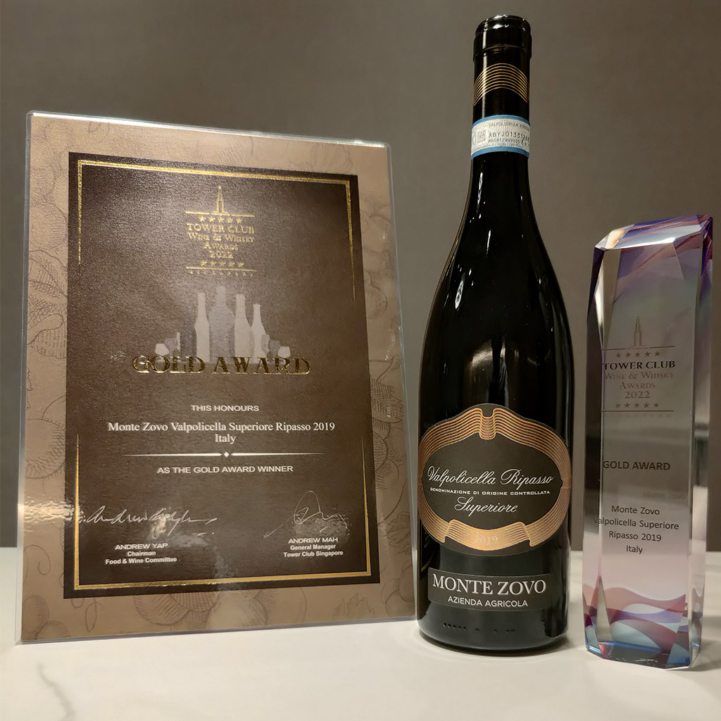 2019 Monte Zovo Valpolicella Ripasso DOC Superiore - 750ml