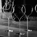 Lehmann P. Jamesse Synergie 75 (Box Of 6)