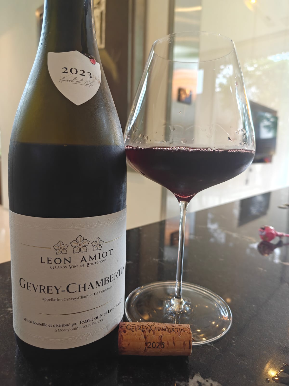 2023 Leon Amiot Gevrey Chambertin - 750ml