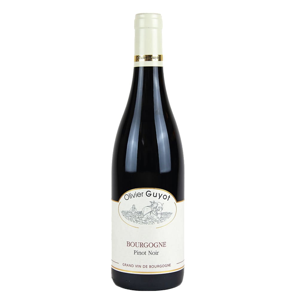 2018 Olivier Guyot Bourgogne Pinot Noir - 750ml