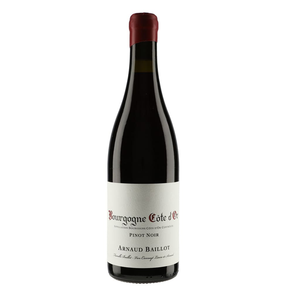 2021 Arnaud Baillot Bourgogne Cote d`Or Pinot Noir Rouge - 750ml