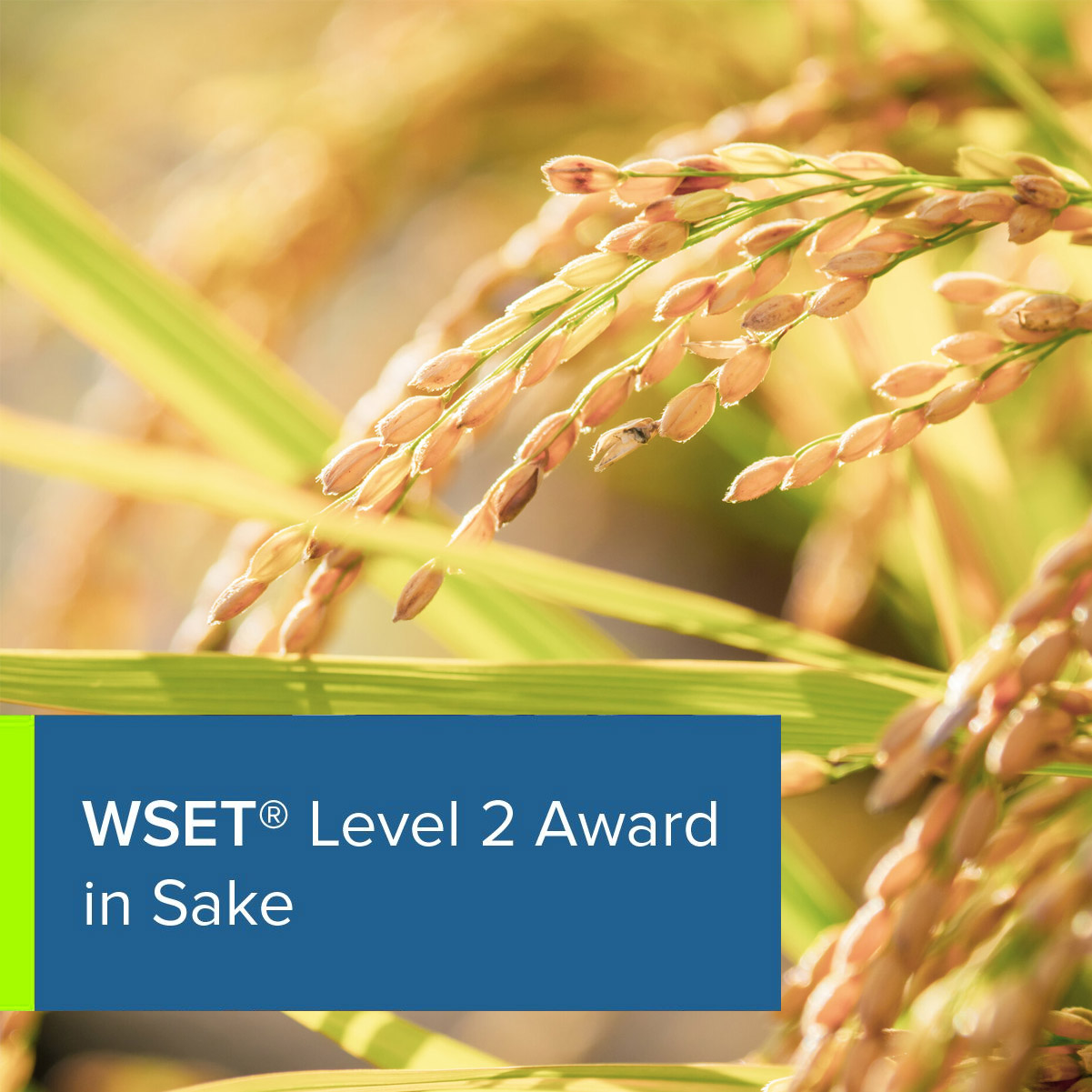 WSET Level 2 Award in Sake (Early Bird)